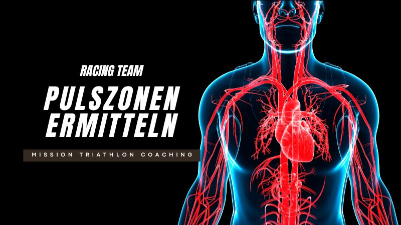 Pulszonen ermitteln